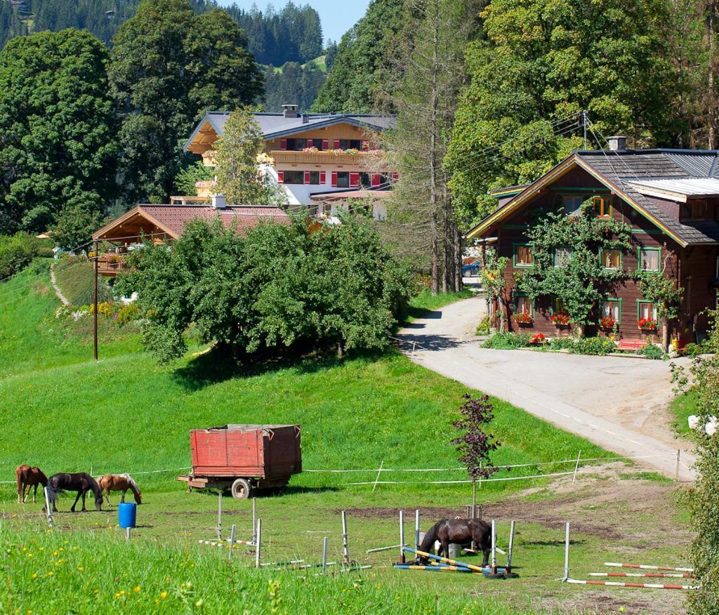 Zauchtaler Hof Hotel Altenmarkt im Pongau Bagian luar foto